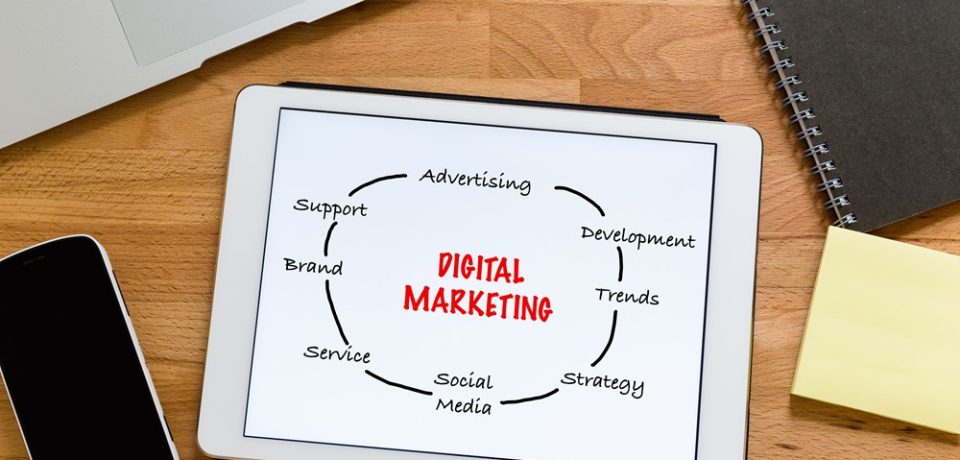 Digital Marketing & Branding – Elevate Your Online Presence