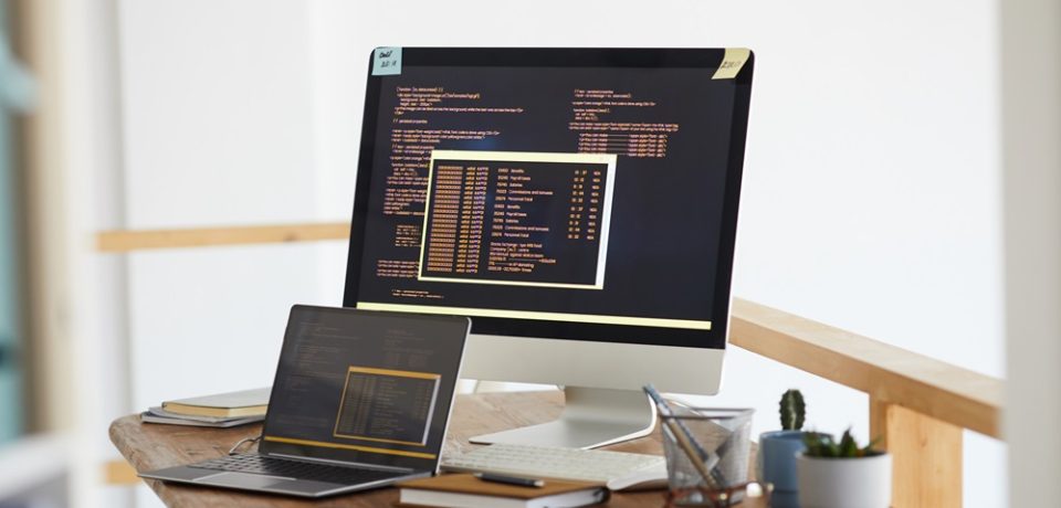 Website Development by Qubixis
